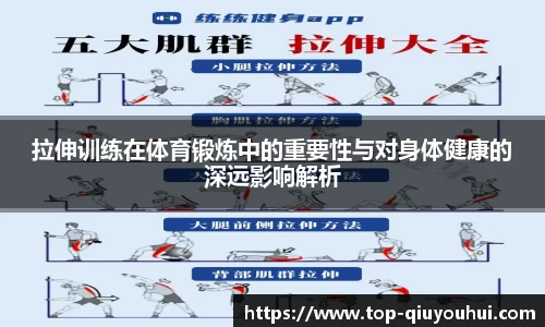 拉伸训练在体育锻炼中的重要性与对身体健康的深远影响解析